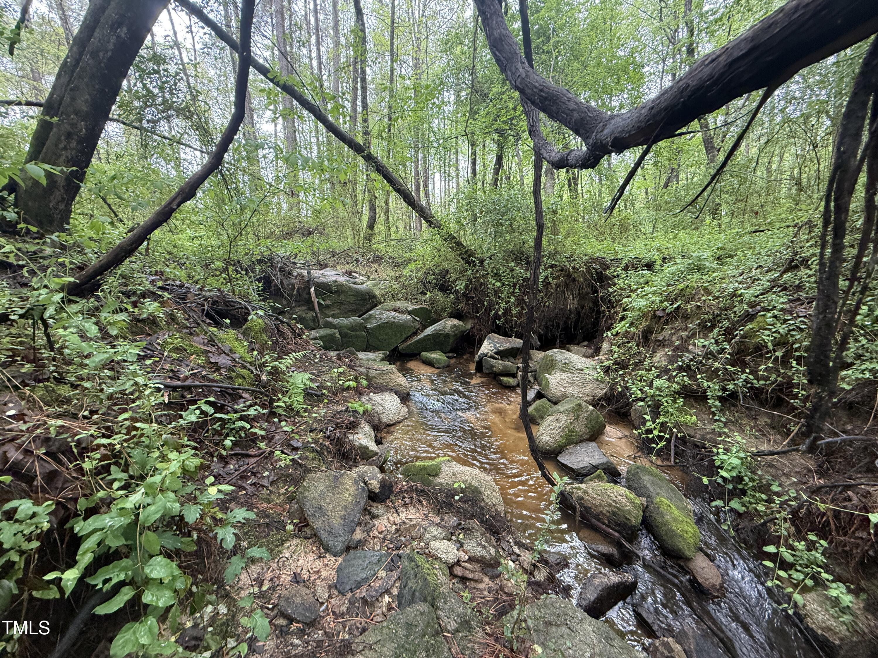 0 Stallings Mill Road Spring Hope, NC 27882 - Photo 4 of 15 04