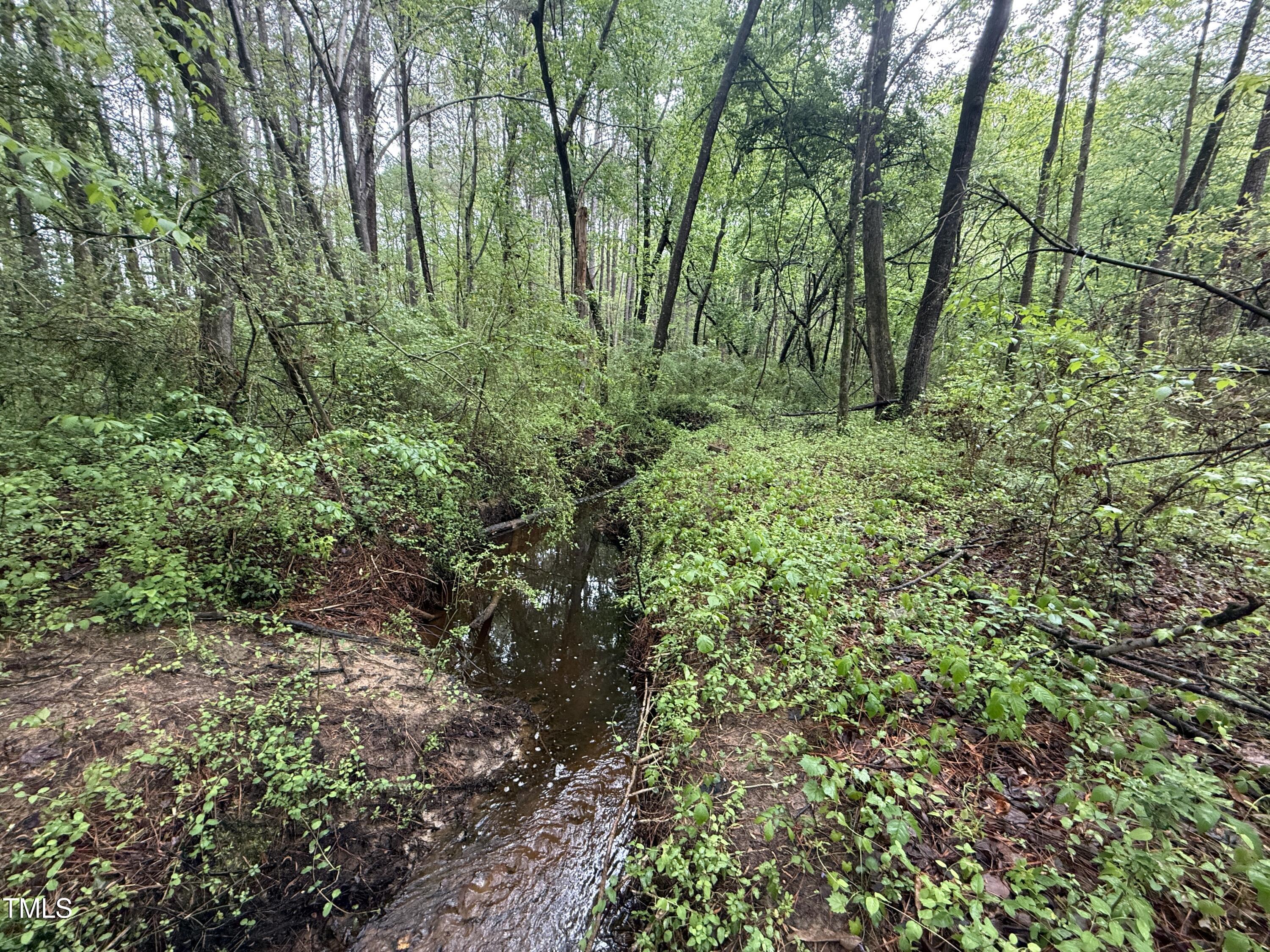 0 Stallings Mill Road Spring Hope, NC 27882 - Photo 5 of 15 05