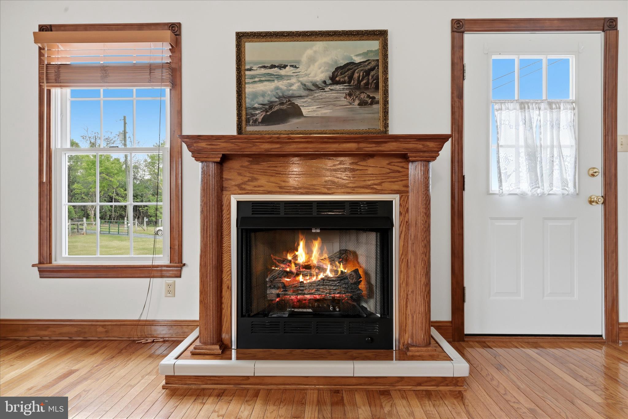 412 Ruebuck Road Clear Brook, VA 22624 - Photo 40 of 43 Fireplace