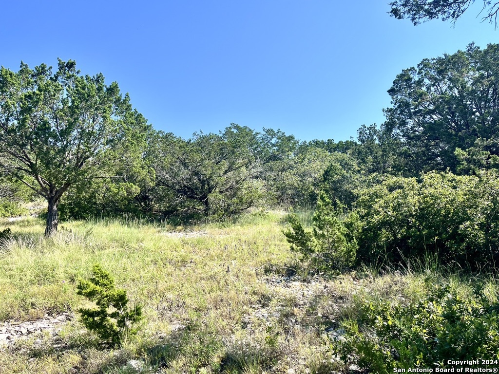 900 Alonzo Road London, TX 76854 - Photo 12 of 26