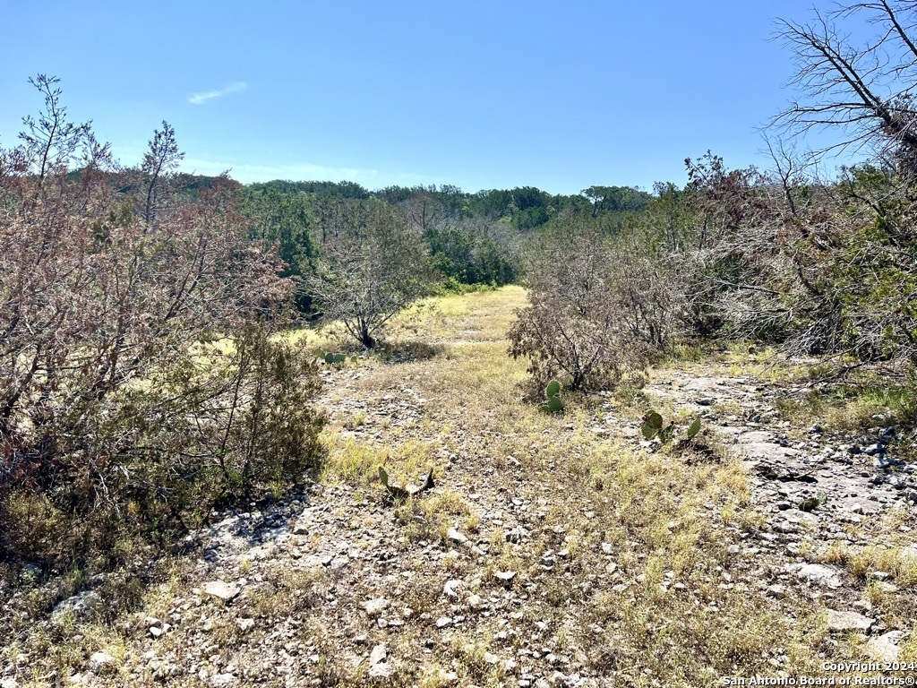 900 Alonzo Road London, TX 76854 - Photo 14 of 26