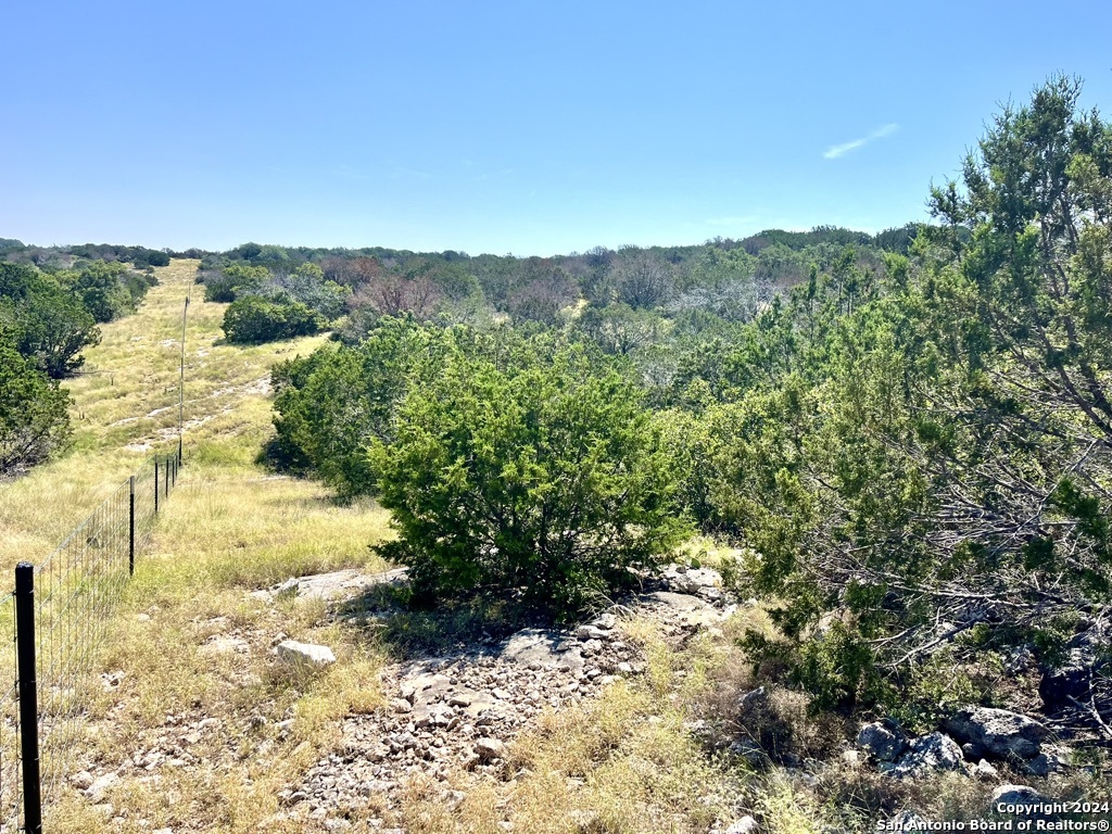 900 Alonzo Road London, TX 76854 - Photo 2 of 26