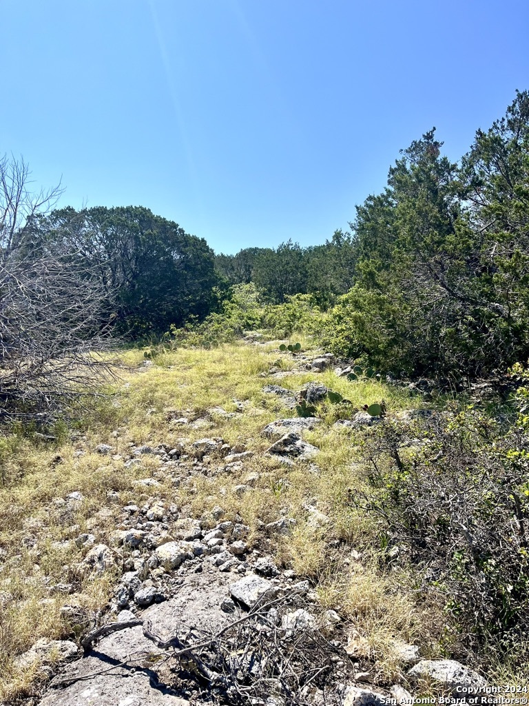 900 Alonzo Road London, TX 76854 - Photo 3 of 26