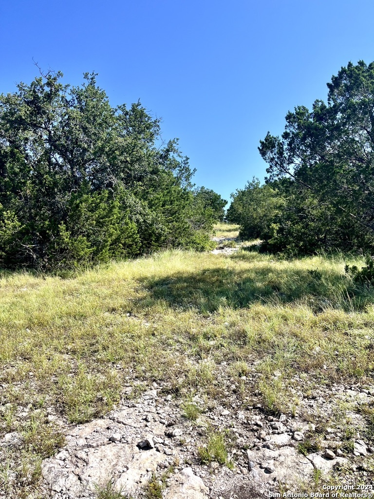 900 Alonzo Road London, TX 76854 - Photo 4 of 26