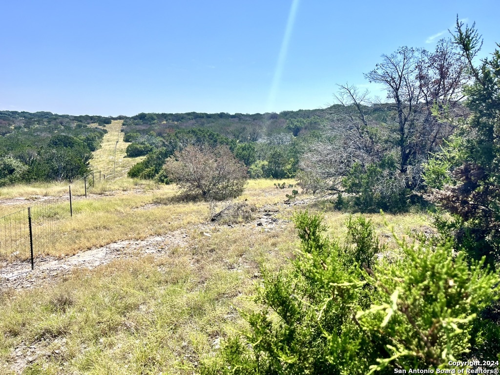 900 Alonzo Road London, TX 76854 - Photo 6 of 26