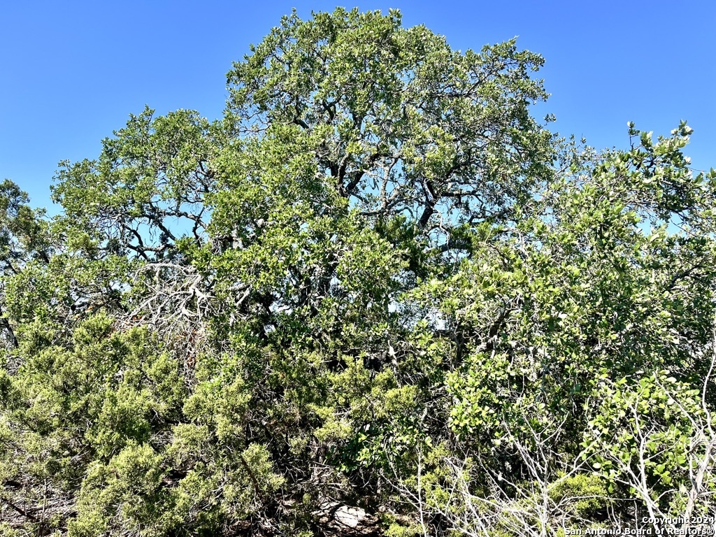 900 Alonzo Road London, TX 76854 - Photo 8 of 26