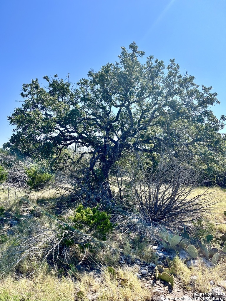 900 Alonzo Road London, TX 76854 - Photo 9 of 26