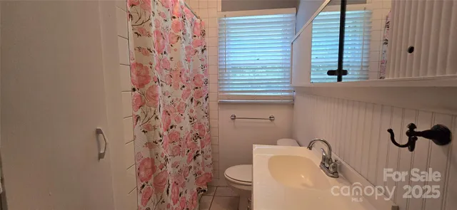 a bathroom with a sink and toilet
