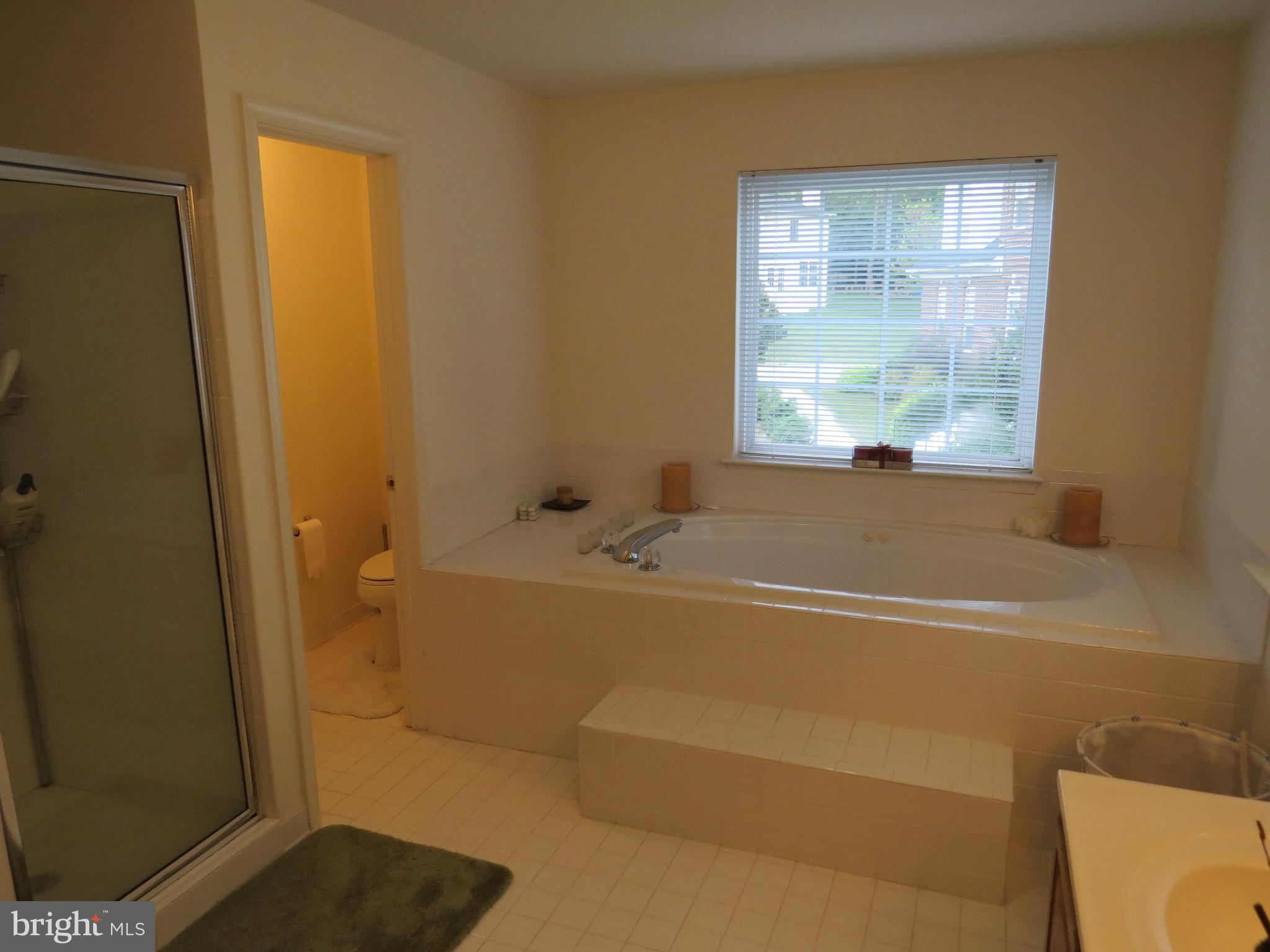 704 River Bend Road Fort Washington, MD 20744 - Photo 25 of 30 Bath (Master)