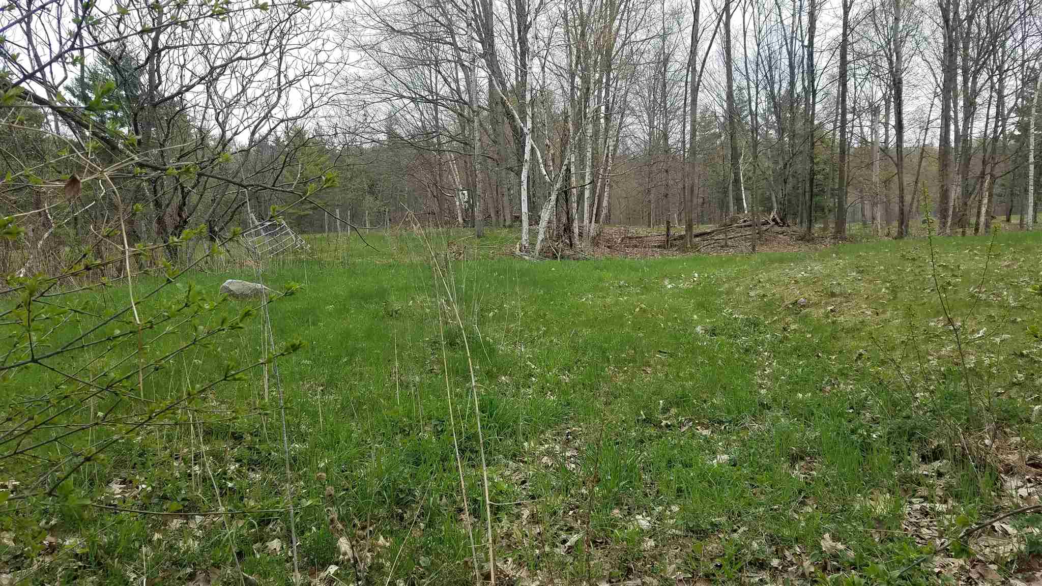 458 Birch Hill Road Brandon, VT 05733 - Photo 2 of 5