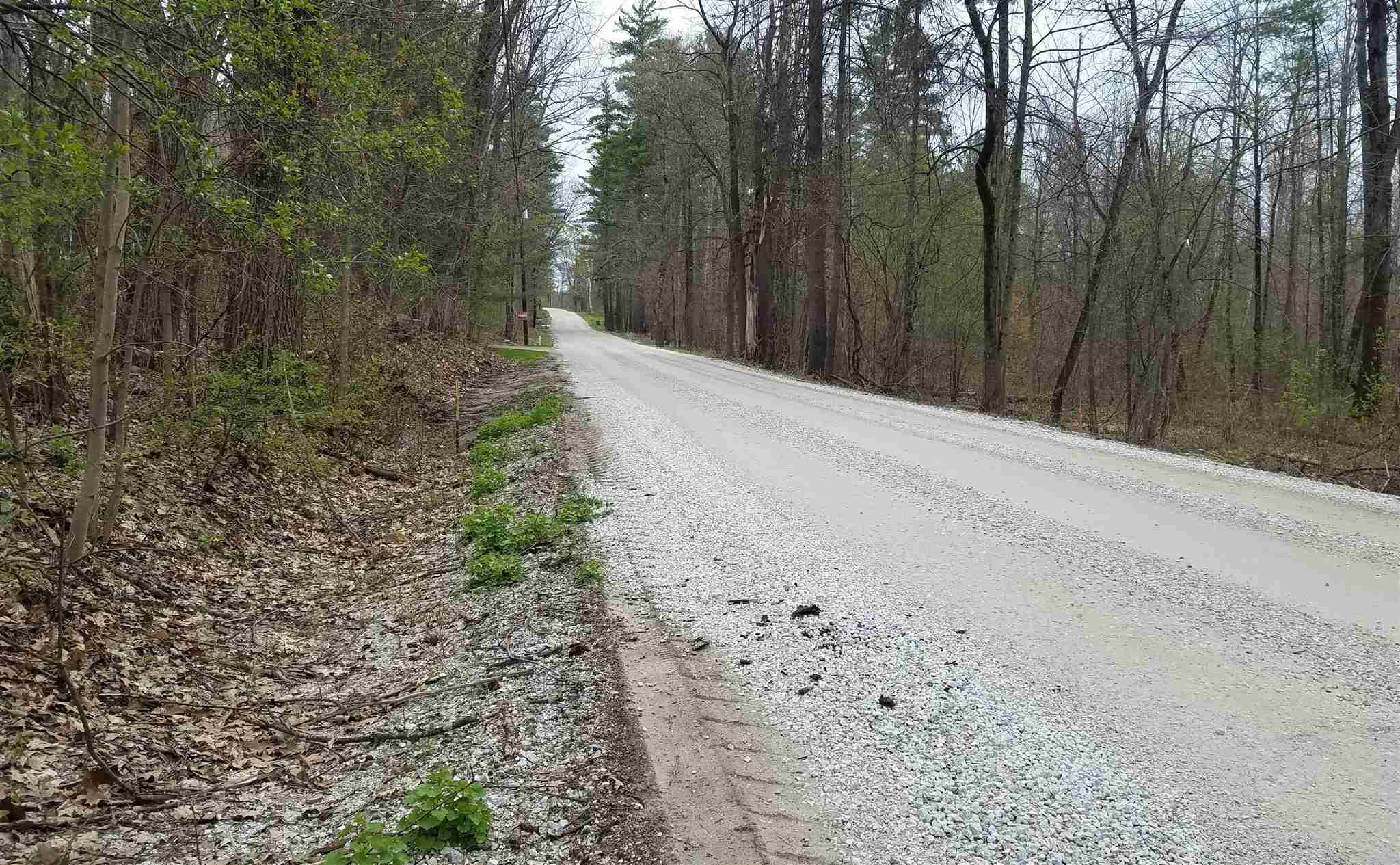 458 Birch Hill Road Brandon, VT 05733 - Photo 5 of 5