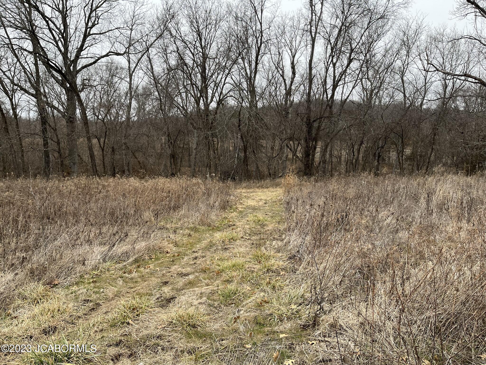 Tbd Big Lick Road Boonville, MO 65233 - Photo 29 of 59