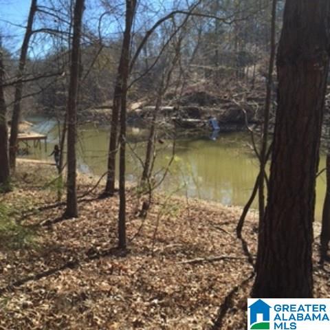 338 Davis Acres Drive, Unit 1 Alpine, AL 35014 - Photo 13 of 19