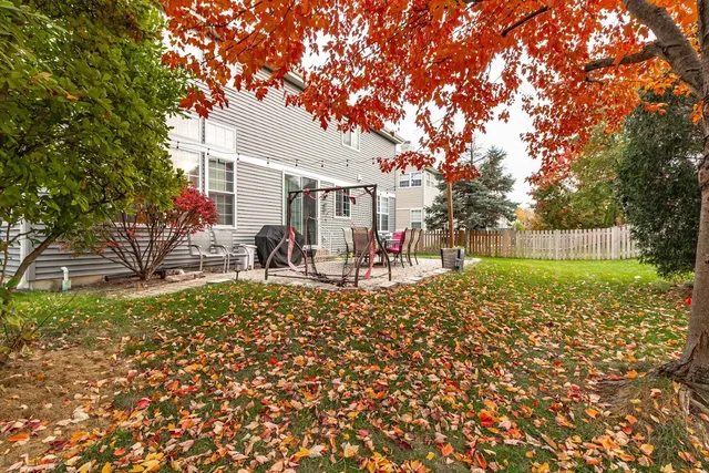 a view of a backyard with a tree