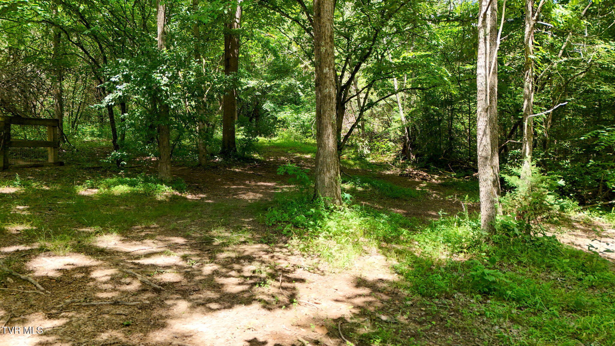 1374 West Allens Bridge Road Greeneville, TN 37743 - Photo 78 of 96 79-web-or-mls-1374 W Allens Bridge Rd EL