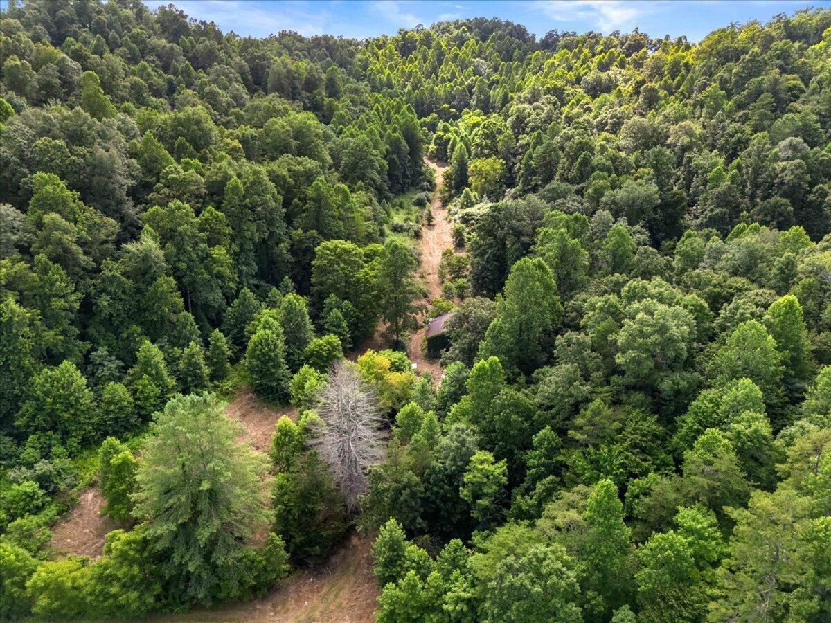 2661 Buncomb Road Tyner, KY 40486 - Photo 16 of 25 aerial of cleared path