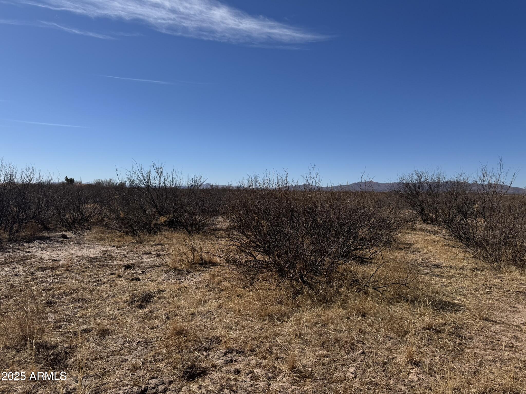 0 West Morin Road, Unit 26 McNeal, AZ 85617 - Photo 29 of 37 a view of a dry yard with trees