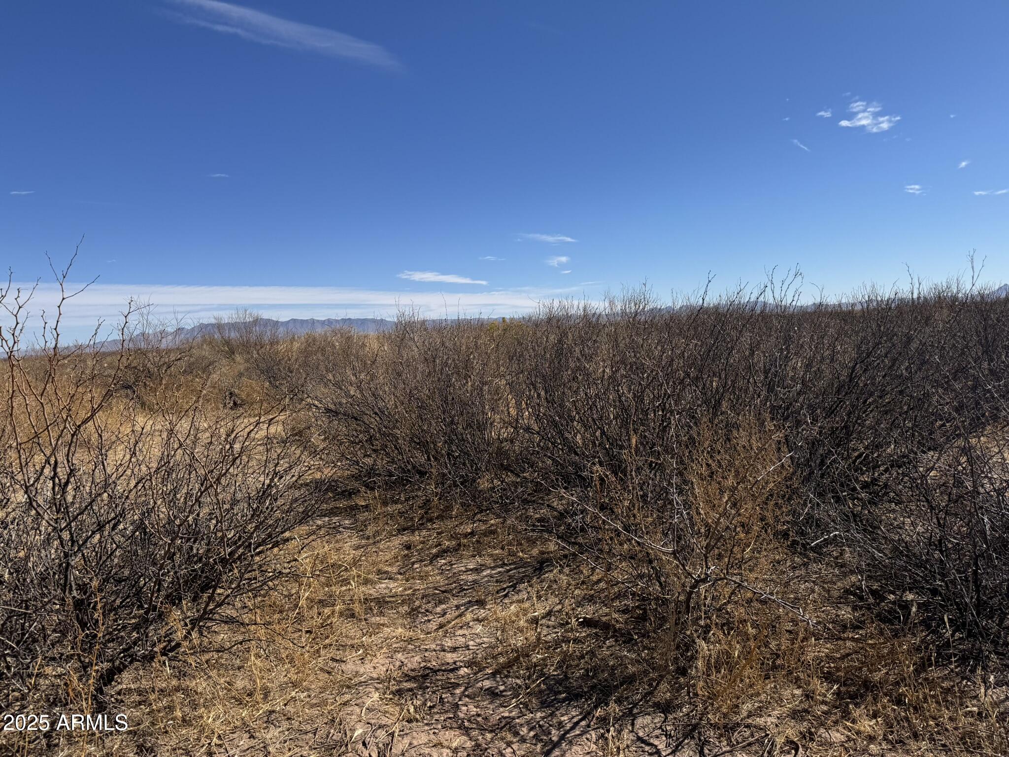 0 West Morin Road, Unit 26 McNeal, AZ 85617 - Photo 31 of 37 a view of a yard and mountain view in back