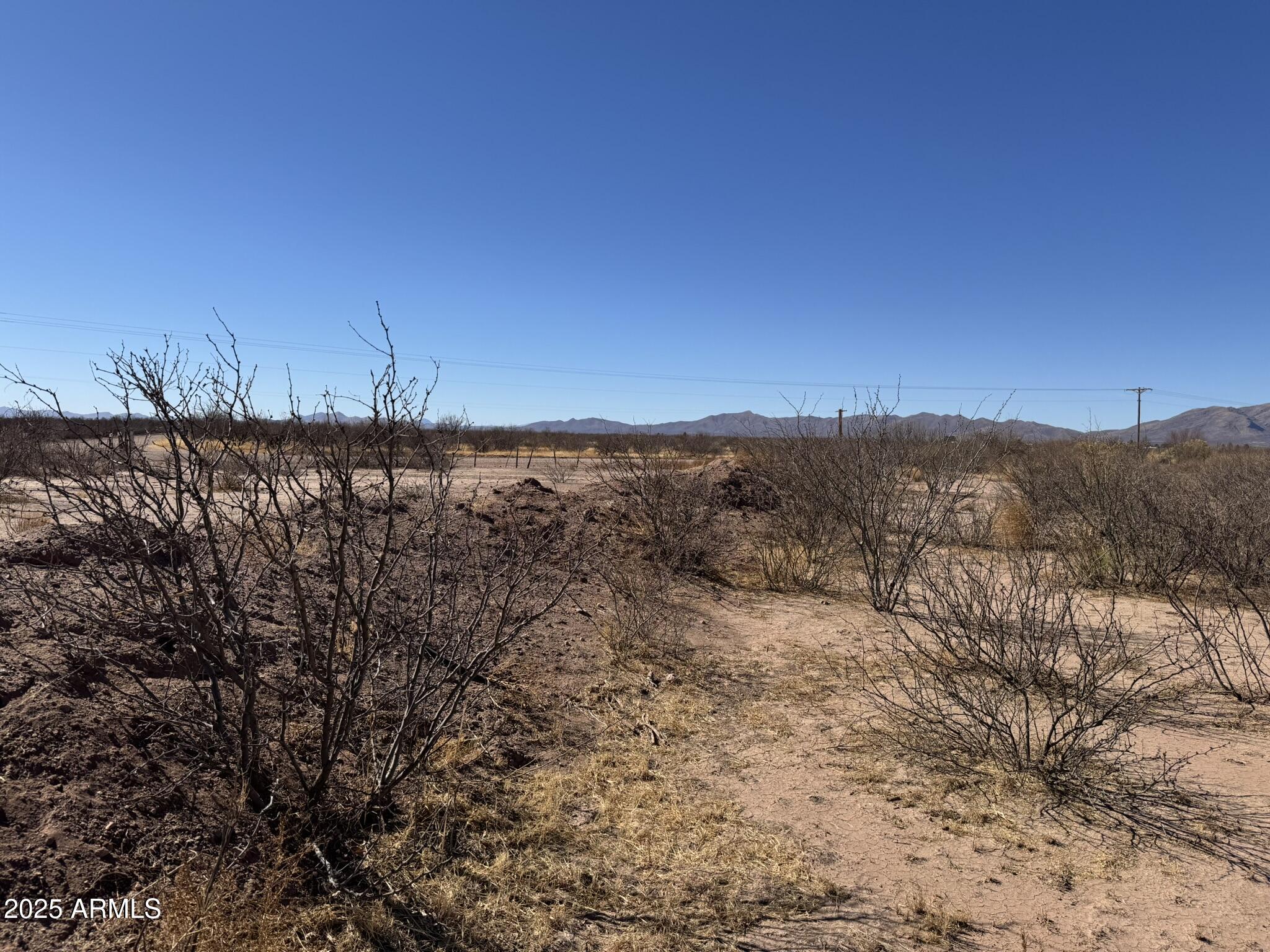 0 West Morin Road, Unit 26 McNeal, AZ 85617 - Photo 35 of 37 a view of a dry yard with trees
