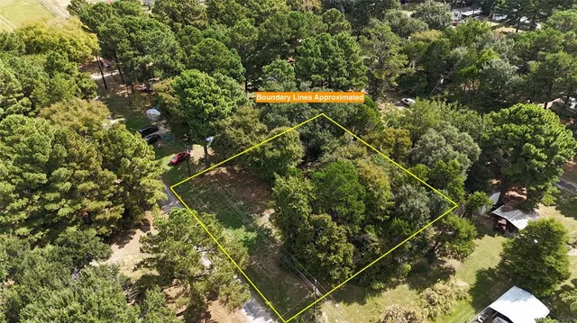 a view of a yard with plants and trees