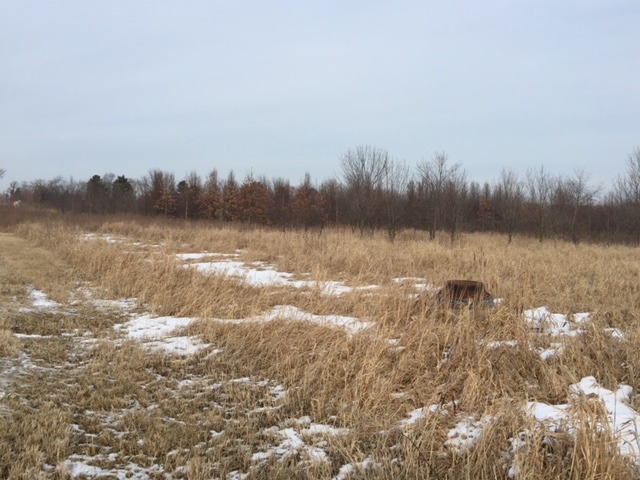 209.3-ac Monee Manhattan And Ridgeland Avenue Monee, IL 60449 - Photo 5 of 5 a view of a lake with houses in the background