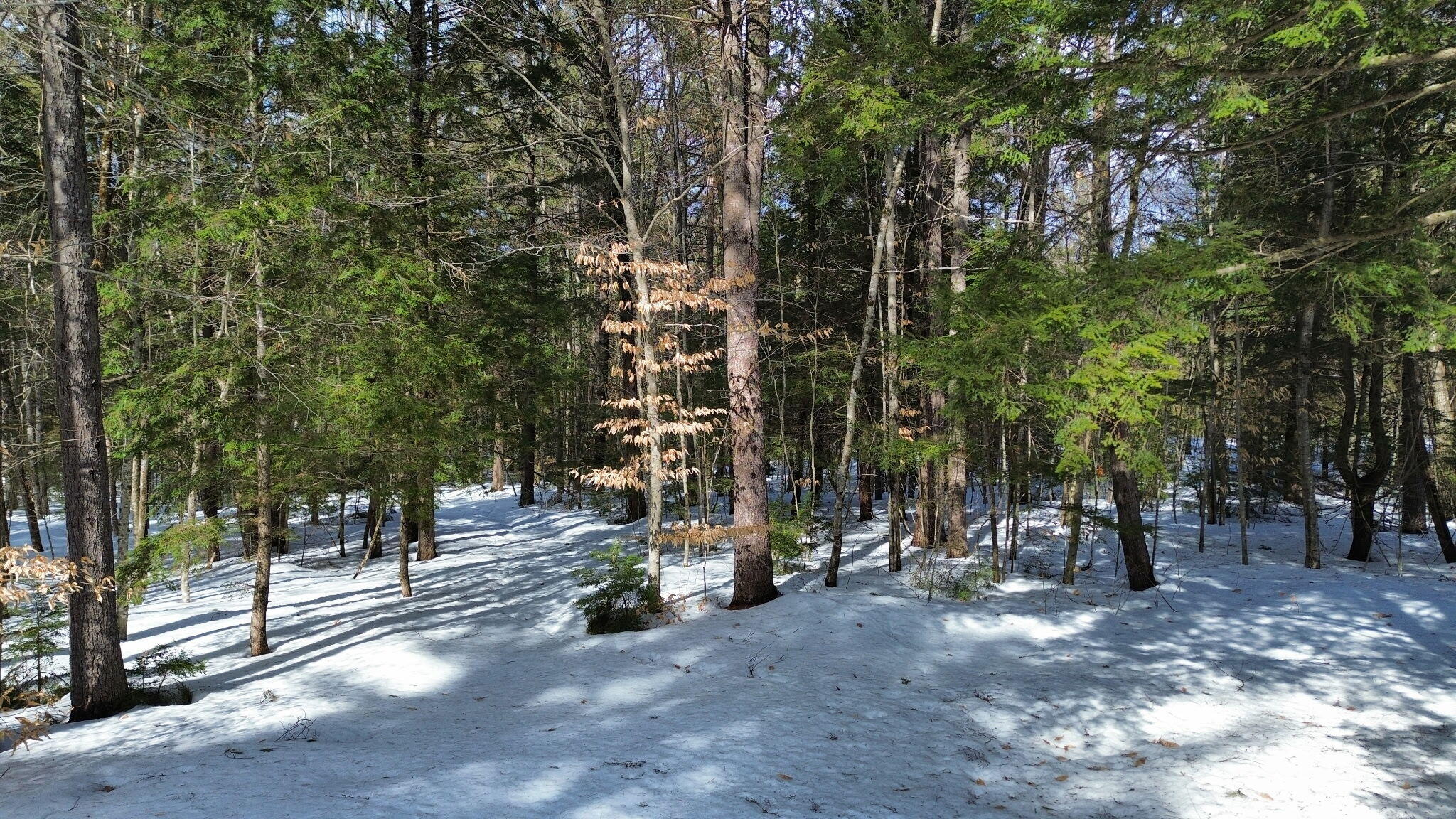 158 Rocky Road Otisfield, ME 04270 - Photo 12 of 22 6857726338573595230