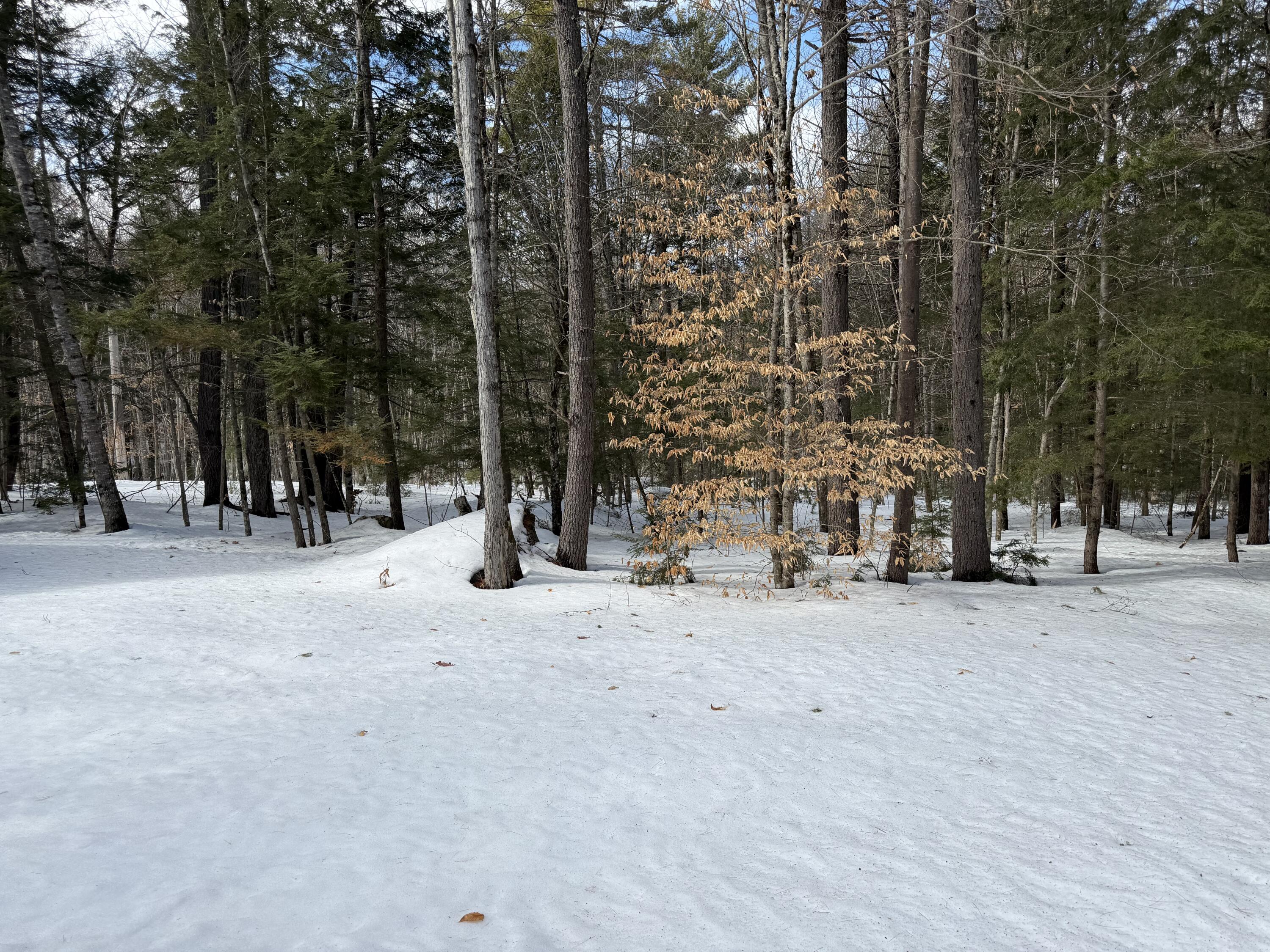 158 Rocky Road Otisfield, ME 04270 - Photo 15 of 22 IMG_4725