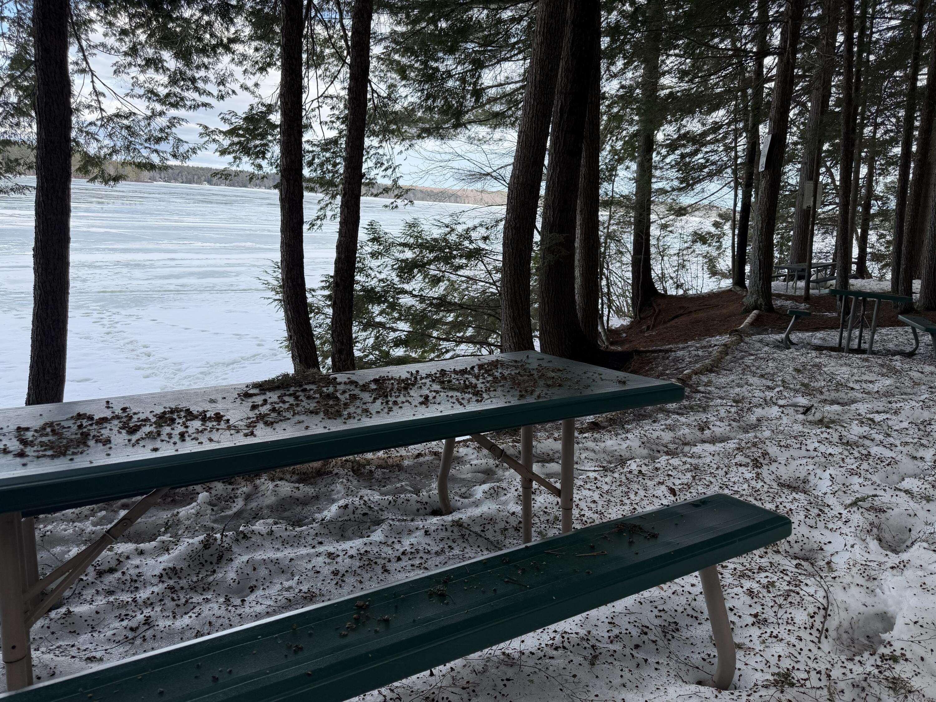 158 Rocky Road Otisfield, ME 04270 - Photo 17 of 22 IMG_4764-2