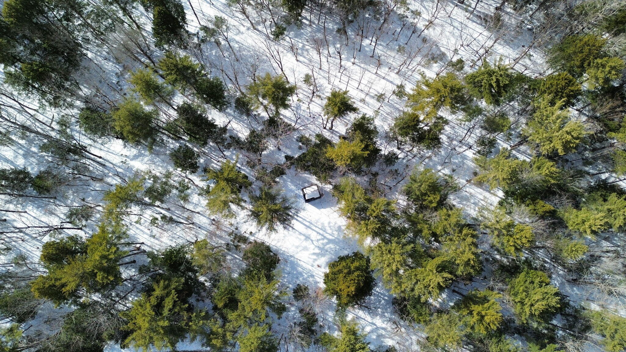 158 Rocky Road Otisfield, ME 04270 - Photo 9 of 22 3601291152095863206