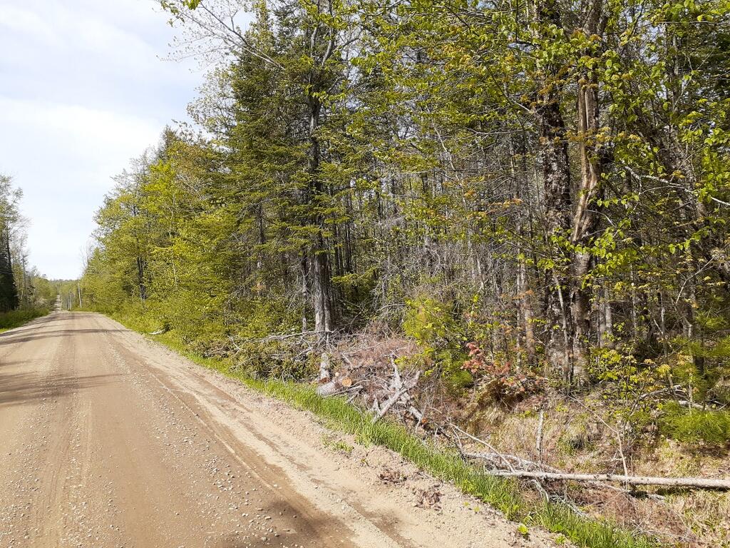 Tbd Madrid Center Road Madrid Township, ME 04966 - Photo 1 of 1 20210518_145409