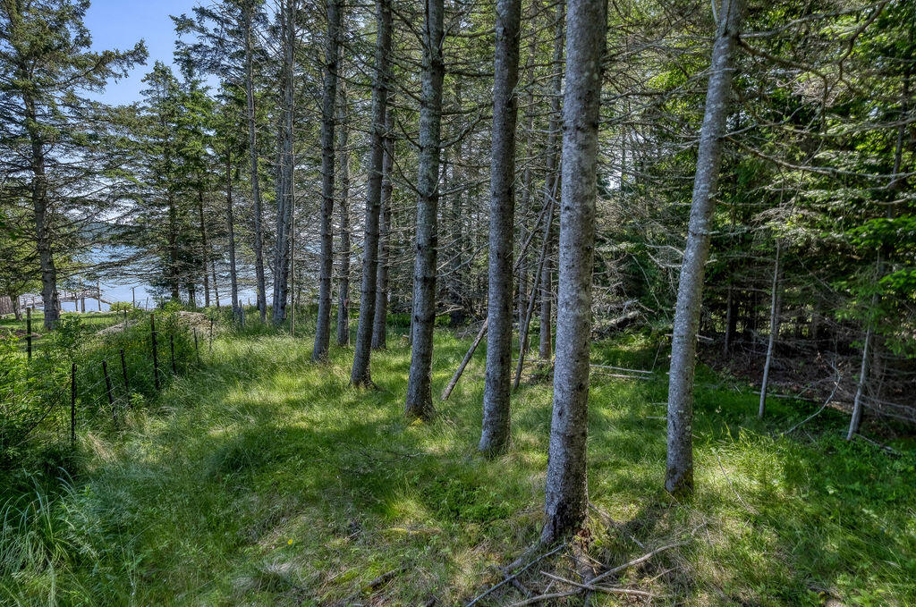 68 Tea Hill Road Stonington, ME 04681 - Photo 24 of 29 68 Tea Hill Land