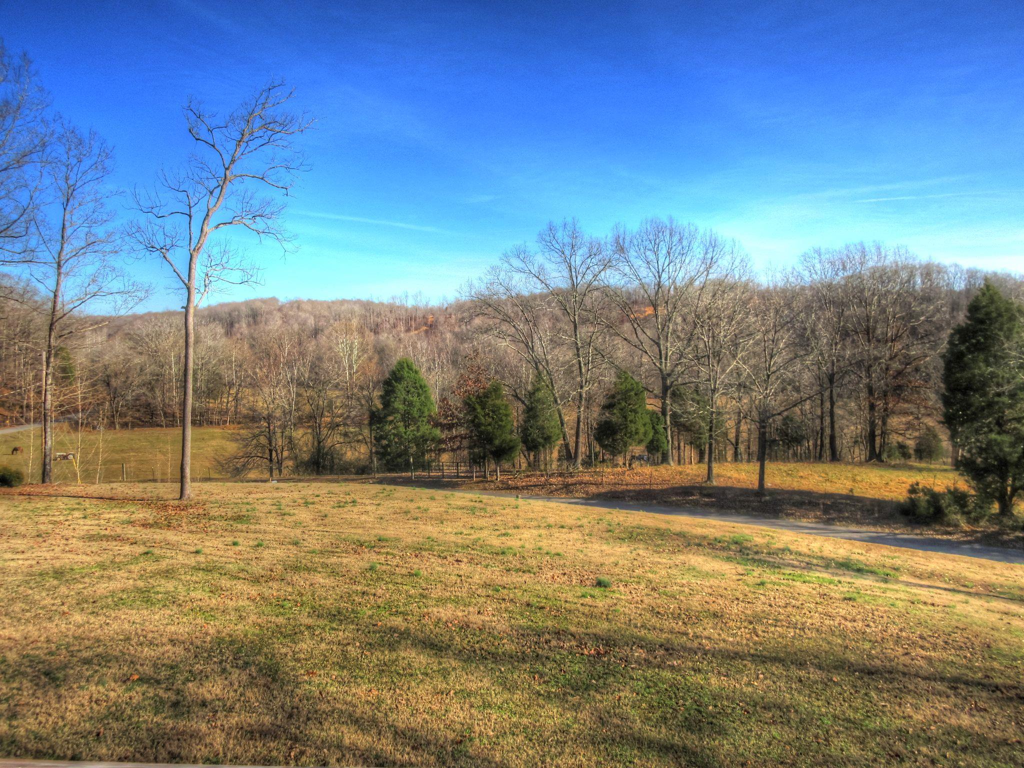 900 Spring Creek Road Waverly, TN 37185 - Photo 3 of 14 Gallery Image 3