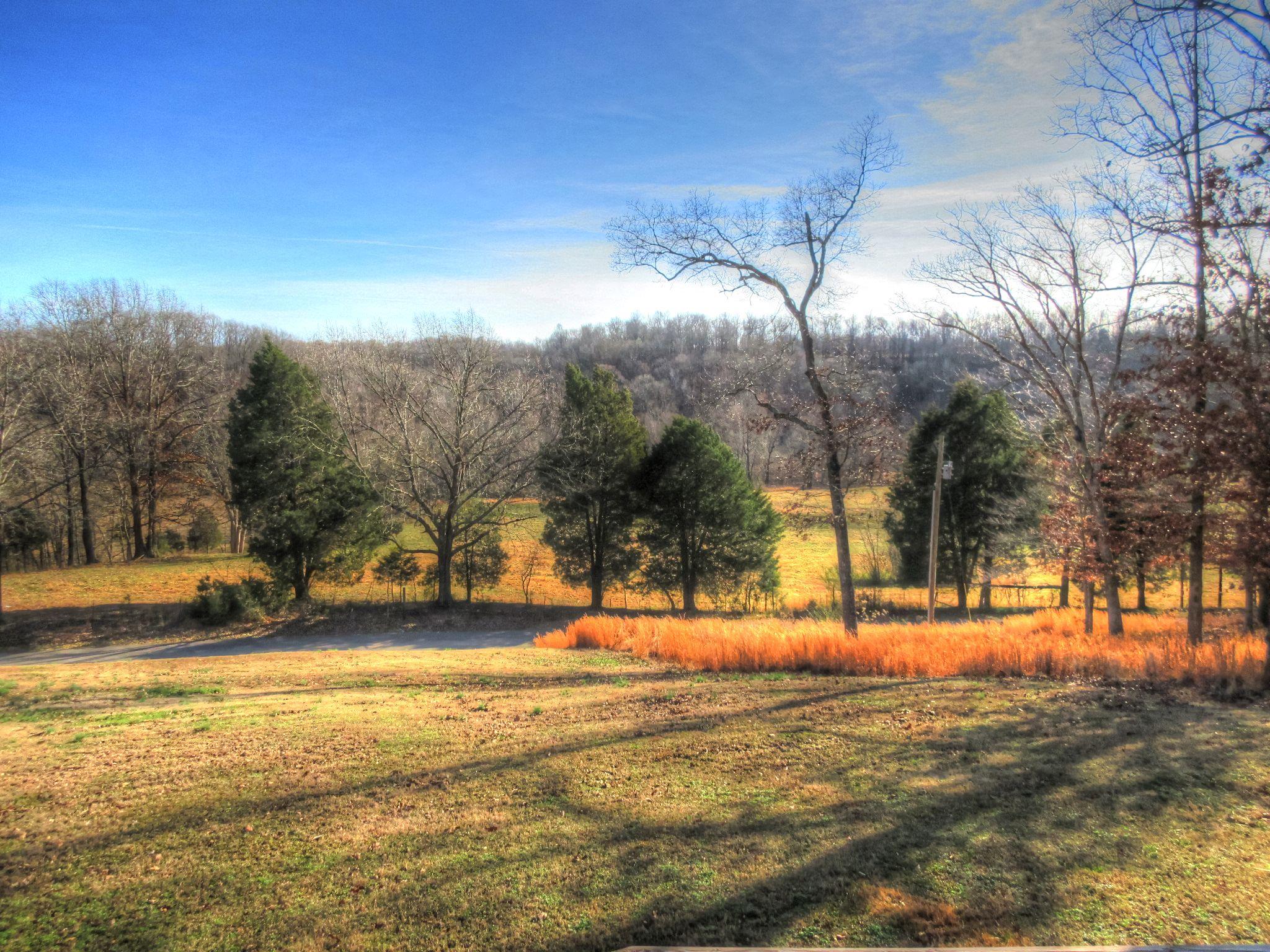 900 Spring Creek Road Waverly, TN 37185 - Photo 4 of 14 Gallery Image 4
