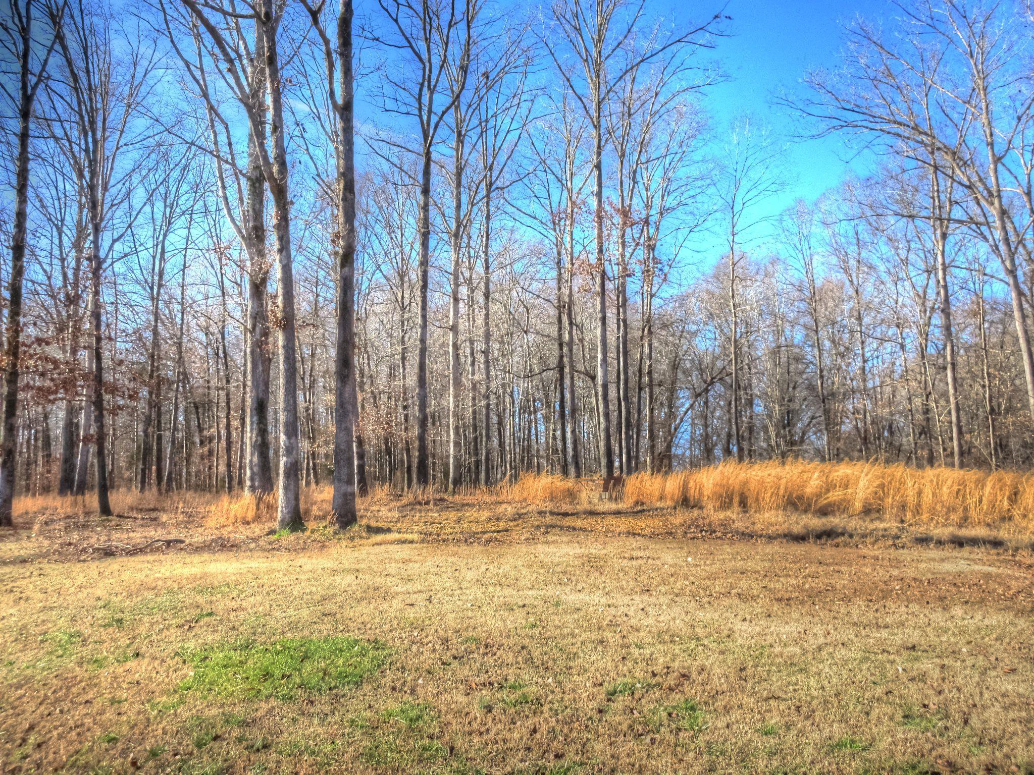 900 Spring Creek Road Waverly, TN 37185 - Photo 5 of 14 Gallery Image 5