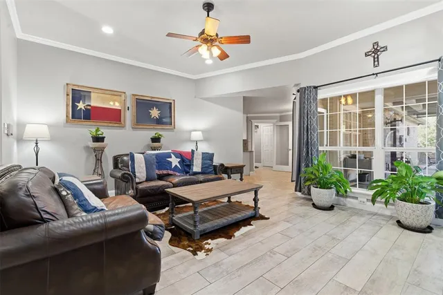 a living room with furniture flowerpot and a potted plant