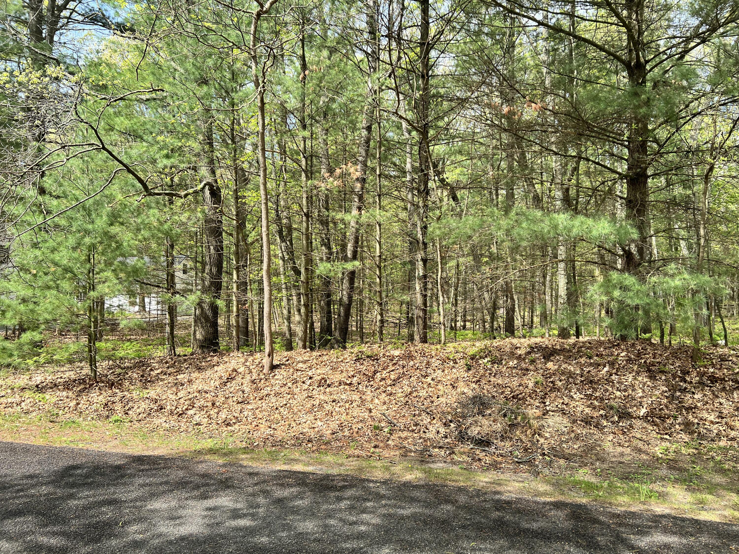Lot 95 Iroquois Road Pentwater, MI 49449 - Photo 8 of 11 IMG_8268