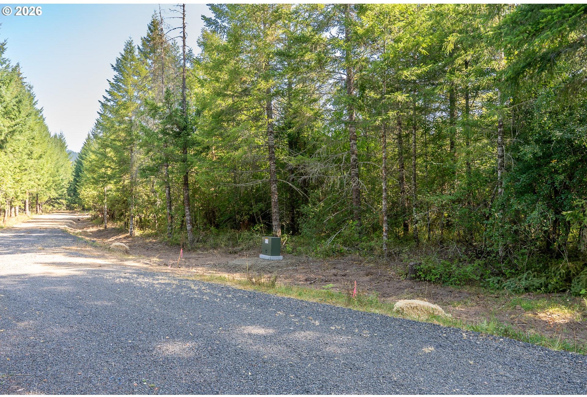 Hawk Meadows Road, Unit 2 Carson, WA 98610 - Photo 23 of 38 Gallery Image 23