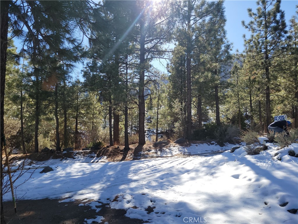 0 Blackbird Road Wrightwood, CA 92397 - Photo 13 of 13 a view of outdoor space with trees