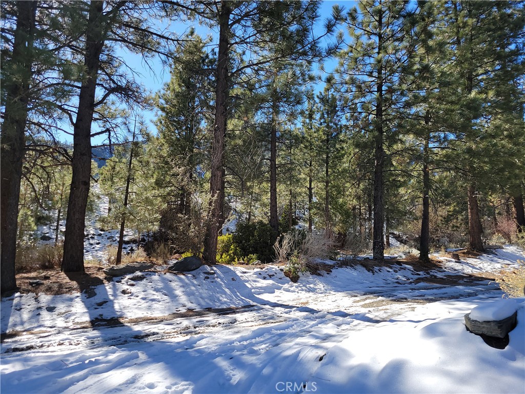 0 Blackbird Road Wrightwood, CA 92397 - Photo 3 of 13 a view of a backyard with plants and trees