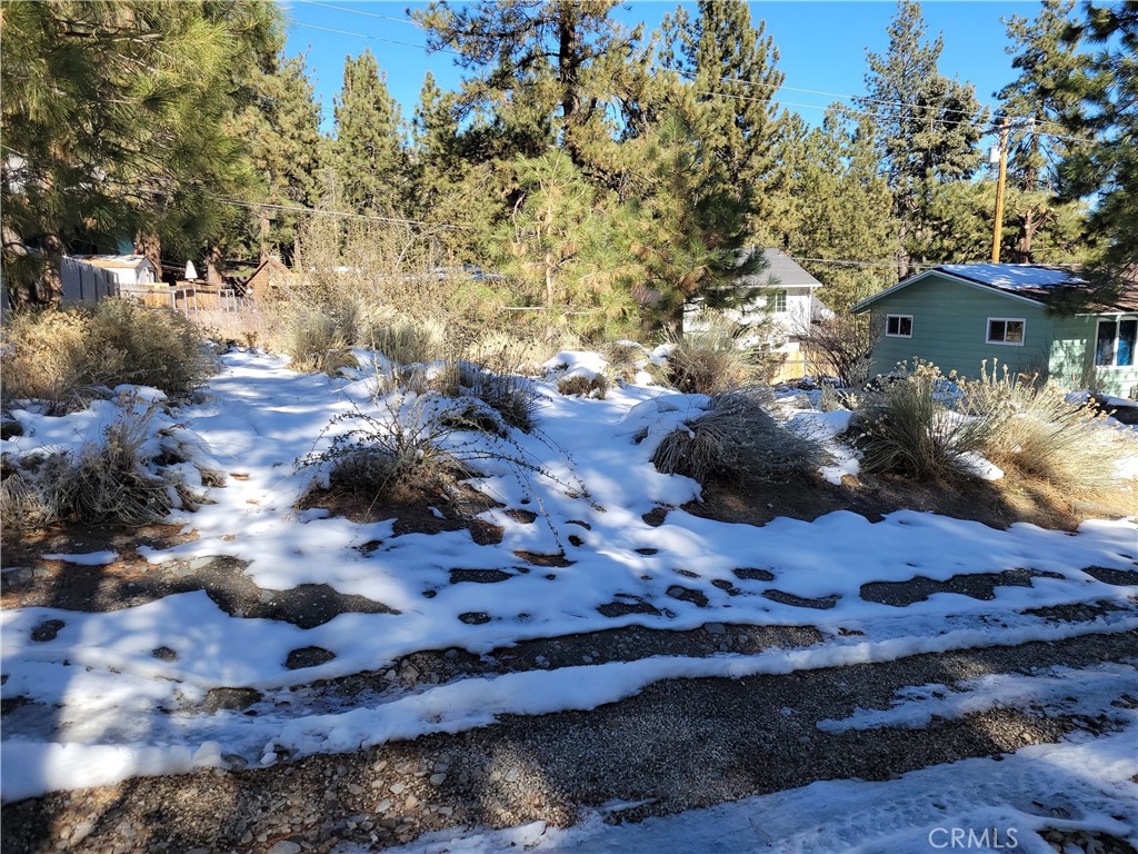 0 Blackbird Road Wrightwood, CA 92397 - Photo 6 of 13 a view of backyard with green space
