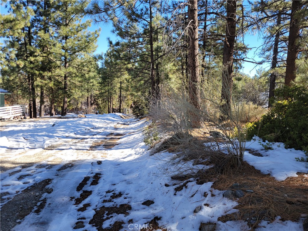 0 Blackbird Road Wrightwood, CA 92397 - Photo 7 of 13 a view of a yard with trees