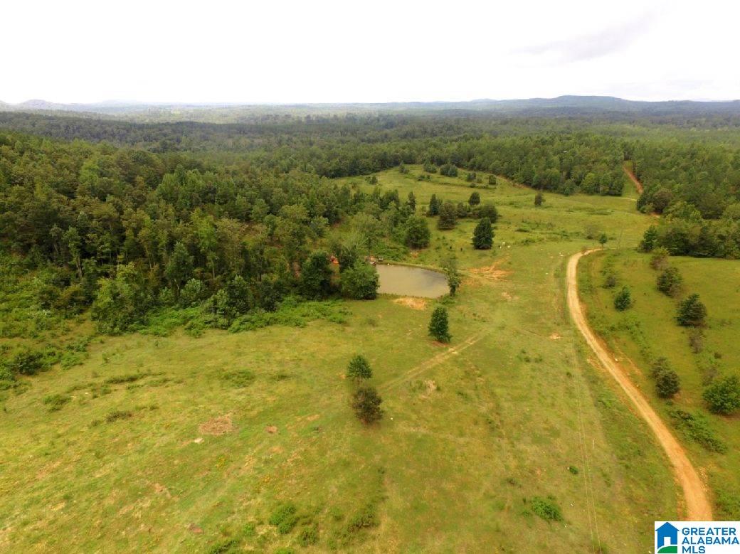 796 Alawashky Road, Unit 46 ACRES Ashland, AL 36251 - Photo 2 of 17