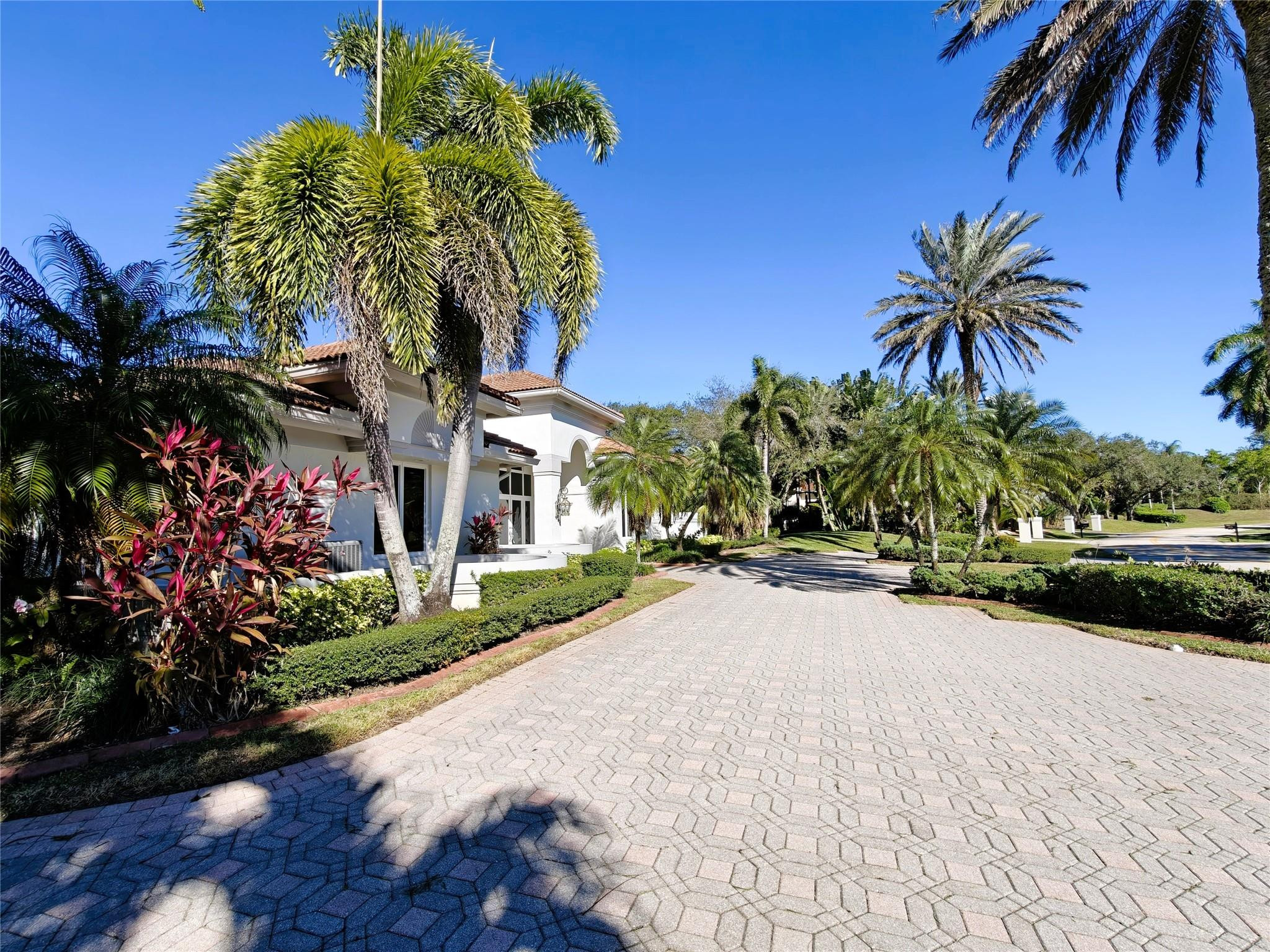 2939 Paddock Lane Weston, FL 33331 - Photo 75 of 86 a palm tree sitting in front of a house with a yard