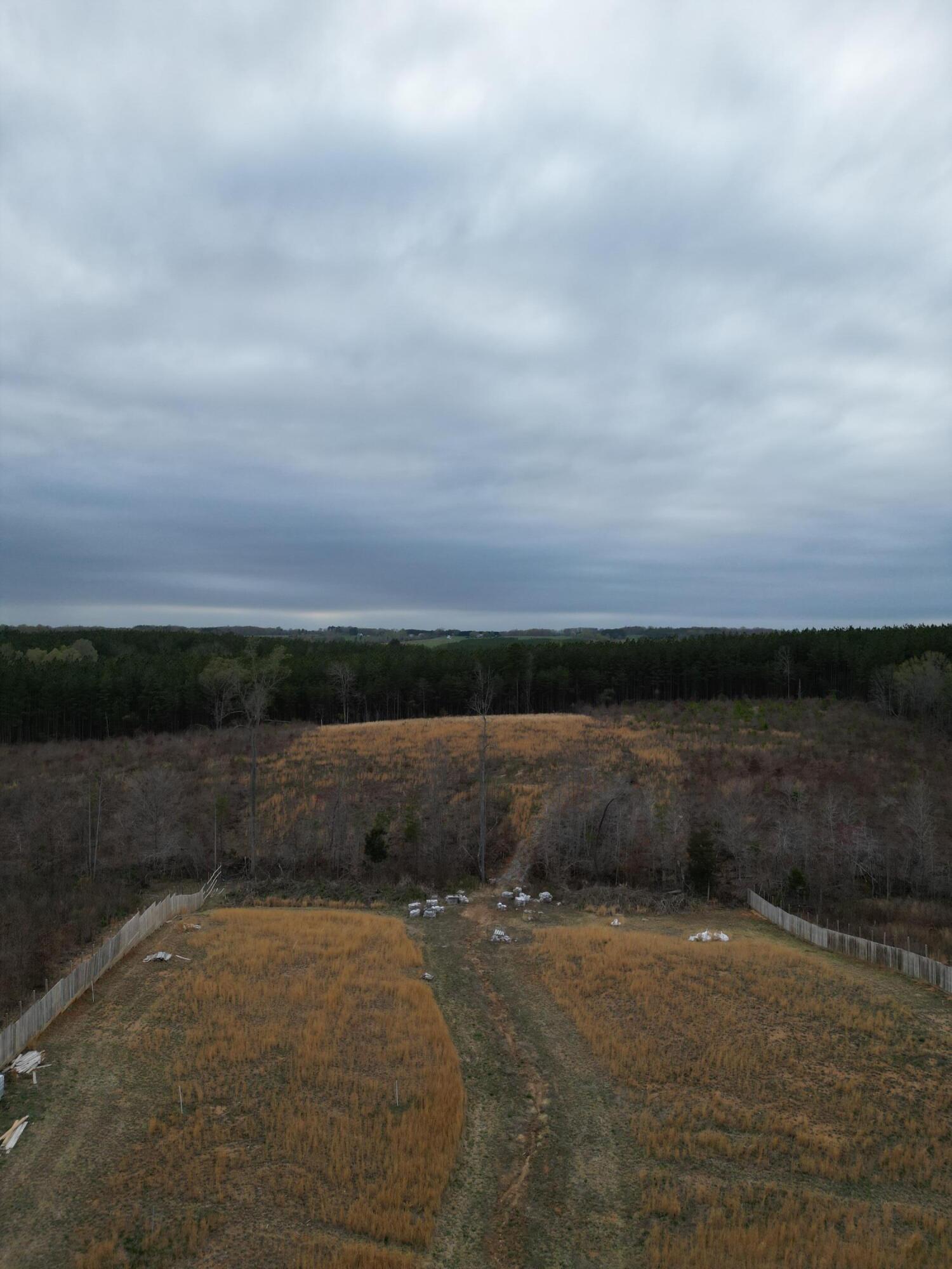 1151 Hubbard Road Long Island, VA 24569 - Photo 7 of 11 a view of terrace with yard