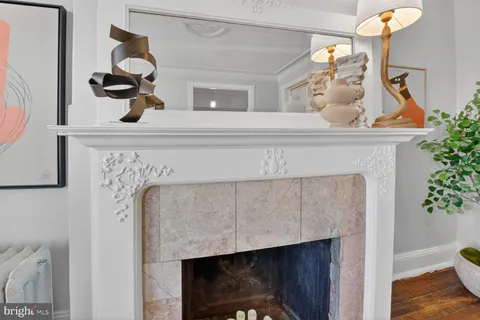 a living room with furniture fireplace and potted plant