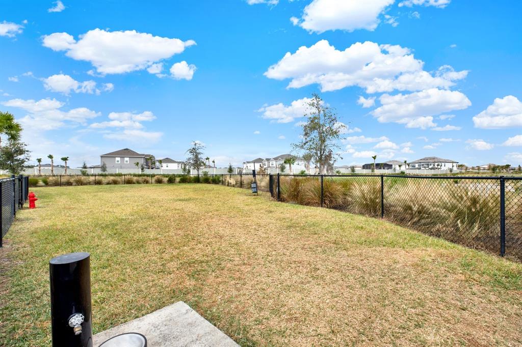 2191 Hallier Cove Wesley Chapel, FL 33543 - Photo 34 of 39
