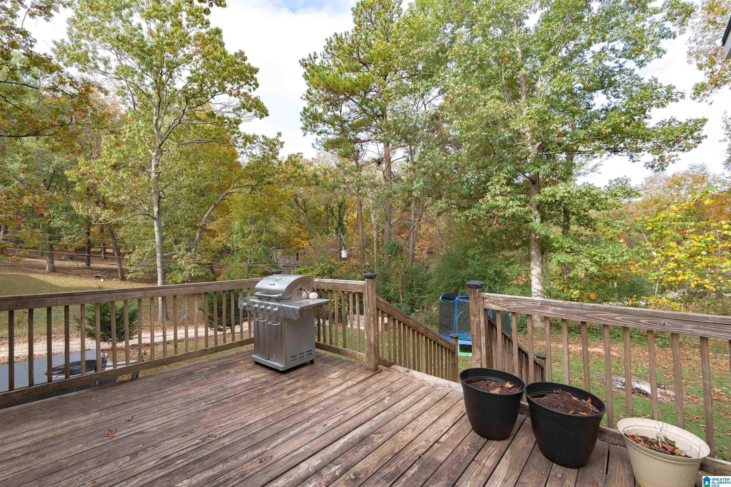 955 Robinson Street Springville, AL 35146 - Photo 23 of 25