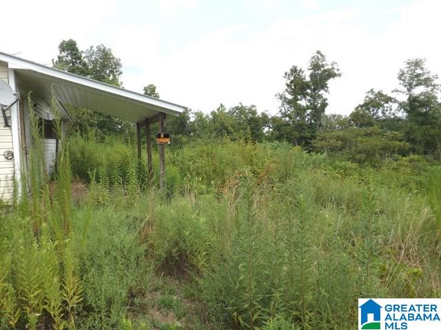 0 Shoal Creek Road Ashville, AL 35953 - Photo 8 of 25