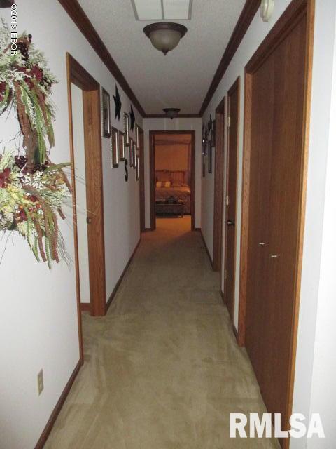 1154 Schwartz Road Centralia, IL 62801 - Photo 25 of 50