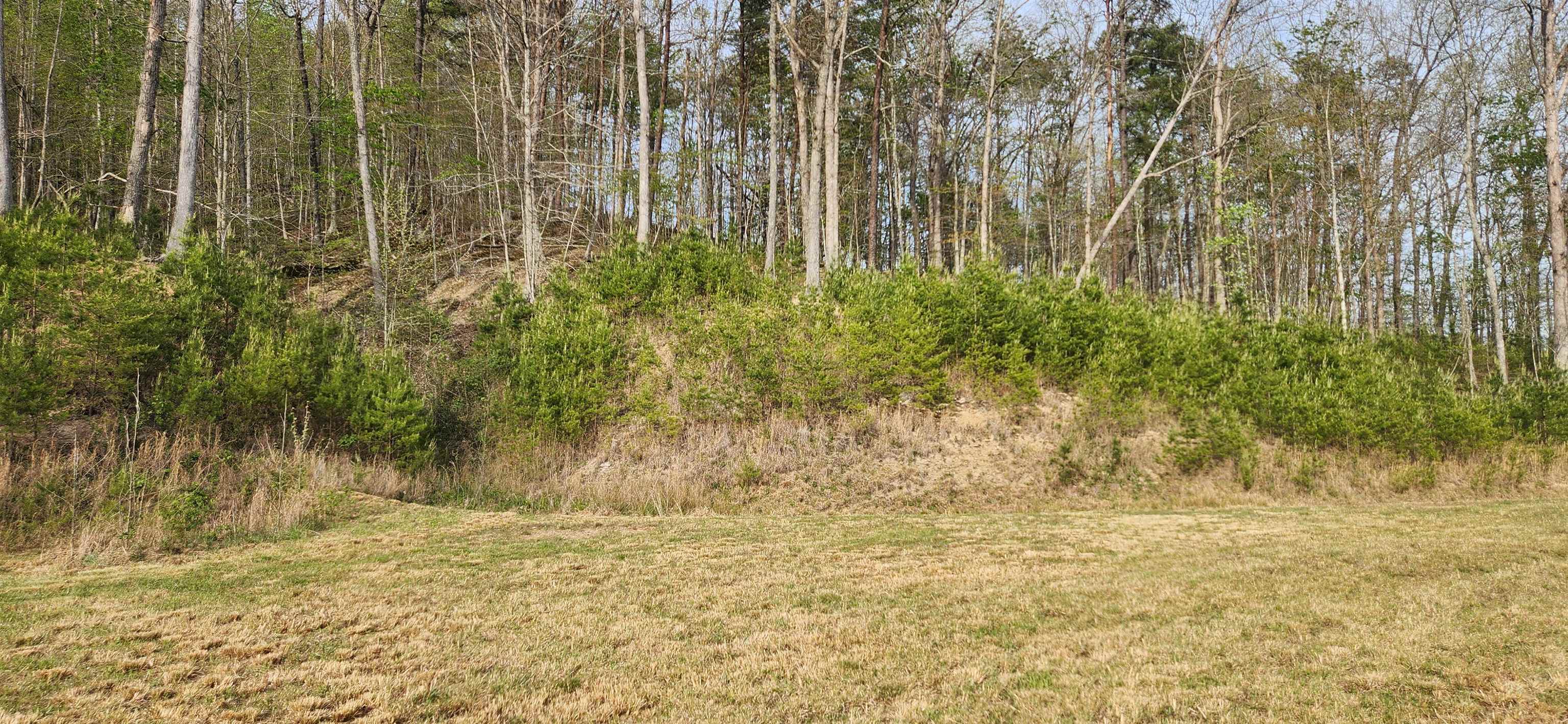 Stinson Creek Road Grayson, KY 41143 - Photo 7 of 14